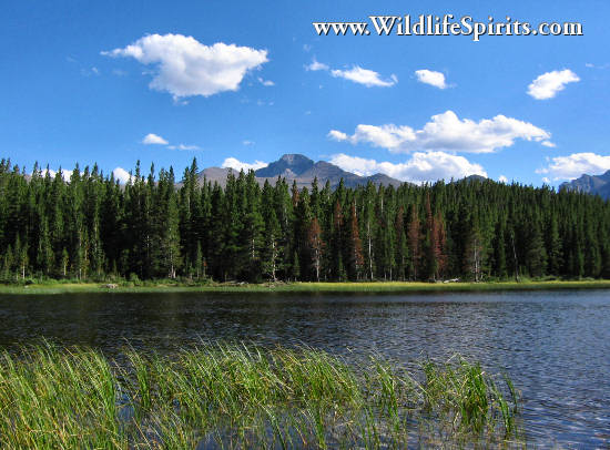 Click Picture to send as an  E-PostCard 64k 550x406